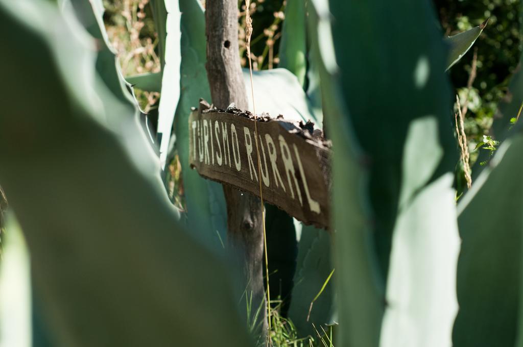 Hosteria Rural Viejo Roble San Rafael (Mendoza) Exterior foto