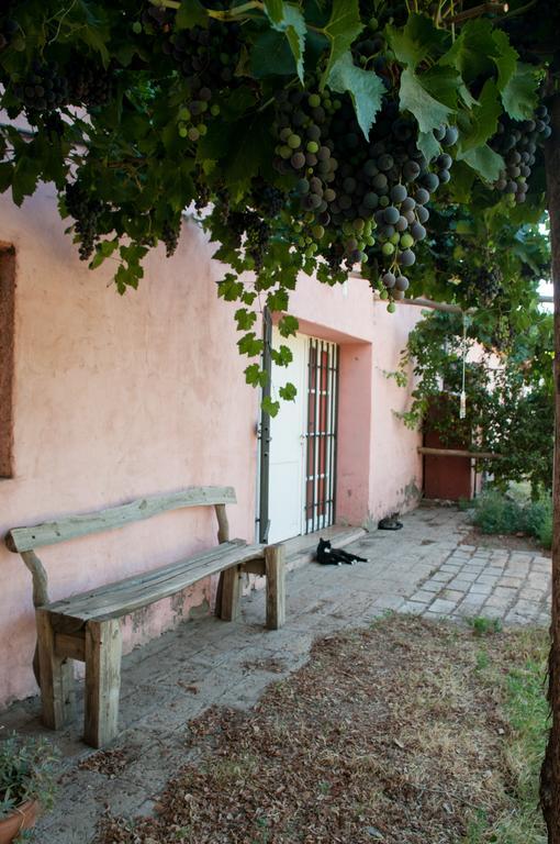 Hosteria Rural Viejo Roble San Rafael (Mendoza) Exterior foto