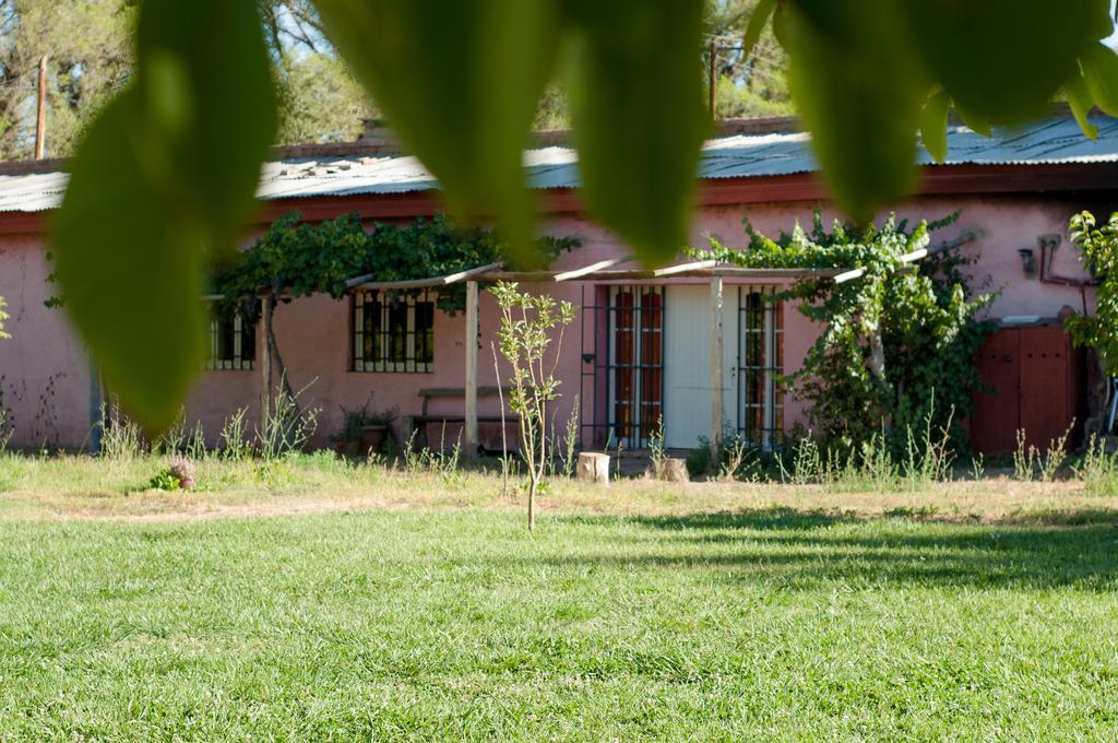 Hosteria Rural Viejo Roble San Rafael (Mendoza) Exterior foto